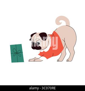 Carlin de dessin animé ludique portant un pull rouge des fêtes, regardant curieusement une boîte cadeau verte. Jolie illustration festive d'animal de compagnie dans un style plat sur un blanc Illustration de Vecteur