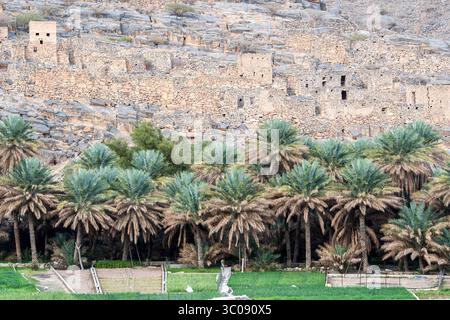 22 janvier 2017 - Oman - Wadi Ghul, Oman ; palmiers dattiers avec des ruines en arrière-plan (crédit image : © Edwin Remsberg / Vwpics/VW pics via ZUMA Wire) Banque D'Images