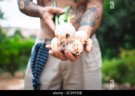 Agriculteur tenant des oignons fraîchement récoltés dans le jardin Banque D'Images
