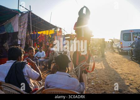 Pushkar Camel Fair, 2024, Rajasthan, Inde Banque D'Images