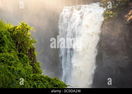 9 janvier 2018 - chutes Victoria, Zimbabwe - les eaux précipitées des chutes Victoria pulvérisent dans l'air de la brume qui contribue à la végétation épaisse et luxuriante de la région. Parc national Mosi-OA-Tunya, Zimbabwe (crédit image : © Edwin Remsberg / Vwpics/VW pics via ZUMA Wire) Banque D'Images