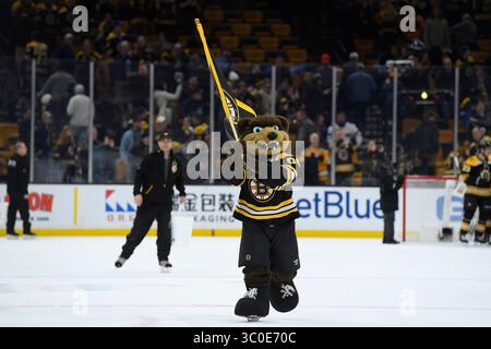 10 novembre 2018 : Blades les Bruins de Boston patinent après le match de la LNH entre les Maple Leafs de Toronto et les Bruins de Boston qui s'est tenu au TD Garden, à Boston, Mass. Boston bat Toronto 5-1. Eric Canha/CSM(image de crédit : &copy ; Eric Canha/CSM via ZUMA Wire) Banque D'Images