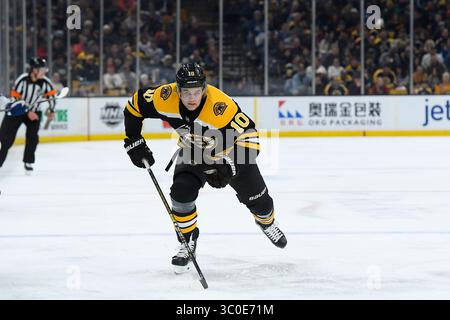 10 novembre 2018 : Anders Bjork (10 ans), aile gauche des Bruins de Boston, se dirige vers le palet lors du match de la LNH opposant les Maple Leafs de Toronto et les Bruins de Boston au TD Garden, à Boston, Mass. Boston bat Toronto 5-1. Eric Canha/CSM(image de crédit : &copy ; Eric Canha/CSM via ZUMA Wire) Banque D'Images