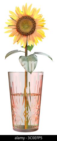 Rendu tridimensionnel d'un seul tournesol commun ou Helianthus isolé sur fond blanc Banque D'Images