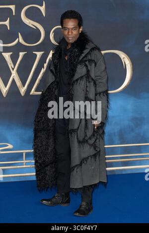 13 novembre 2018 - Londres, Royaume-Uni de Grande-Bretagne et d'Irlande du Nord - William Nadylam arrive à la première britannique de 'Fantastic Beasts : The crimes of Grindelwald' à l'Odeon Leicester Square le 13 novembre 2018 à Londres (crédit image : © Famous/Ace Pictures via ZUMA Press) Banque D'Images