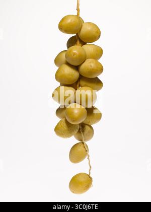 1 février 2011 - New York, New York, États-Unis - dates non mûres sur fond blanc (crédit image : © Novo images/Glasshouse via ZUMA Wire) Banque D'Images