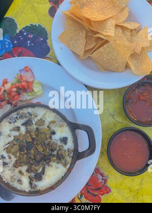 Queso fundido avec piments verts, chips et salsa à Tucson, Arizona Banque D'Images