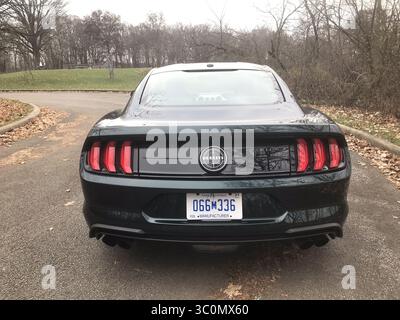 21 novembre 2018 - il, États-Unis - la Ford Mustang Bullitt 2019 honore le 50e anniversaire du film mettant en scène Steve McQueen avec une édition limitée, modèle de deux ans d'une Mustang boostée qui fait 20 chevaux de plus que la GT, dispose d'un levier de vitesses cueball et d'une suspension à amortissement actif. Photo le jeudi 29 novembre 2018. (Crédit image : © Robert Duffer/Chicago Tribune/TNS via ZUMA Wire) Banque D'Images