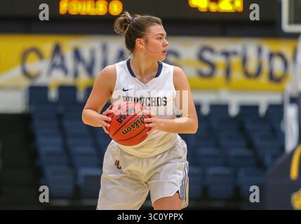 3 janvier 2019 : Madison Lee (4 ans), gardienne de l'Université du Central Oklahoma, avec le ballon lors d'un match de basket-ball entre les Western Griffons du Missouri et les Central Oklahoma Bronchos à Hamilton Field House à Edmond, Oklahoma. Le centre de l'Oklahoma bat le Missouri Western 69-56. Gris Siegel/CSM(image de crédit : &copy ; gris Siegel/CSM via ZUMA Wire) Banque D'Images