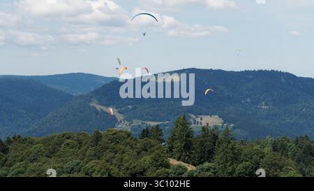 Parapente volant au-dessus du paysage montagneux avec des vues panoramiques sur les forêts Banque D'Images