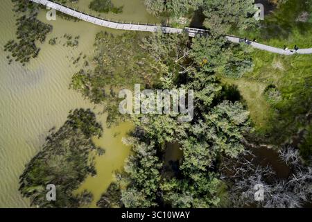 Vue aérienne d'une passerelle en bois, une passerelle à travers les marais près de la Tour Carbonnière à Aigues-mortes, dans le département du Gard (sud de la France) Banque D'Images