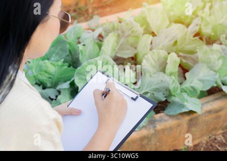 Vue arrière d'une femme adulte moyenne asiatique enregistrant sa croissance agricole biologique. Concept de petite entreprise écologique de l'agriculture biologique Banque D'Images