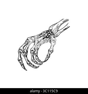 Doigts squelettiques avec griffes serrées, croquis noir et blanc. Illustration vectorielle. Main d'homme mort avec des doigts osseux, isolé sur fond blanc Illustration de Vecteur
