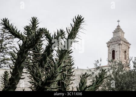 29 novembre 2018 - Jérusalem, Israël - le Consul général de France à Jérusalem, Pierre Cochard, visite l'église du Pater Noster dans le cadre d'une visite des biens français à Jérusalem. L'église du Pater Noster est une église catholique romaine située sur le Mont des oliviers à Jérusalem. Il fait partie d'un monastère carmélite, également connu sous le nom de Sanctuaire de l'Eleona, domaine de l'Eleona. L'église du Pater Noster se trouve juste à côté des ruines de l'église byzantine d'Eleona du IVe siècle. Les ruines de l'Eleona ont été redécouvertes au XXe siècle. La grotte est l'endroit auquel on croit Banque D'Images