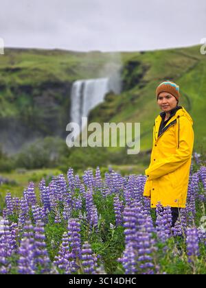 Une femme portant un imperméable jaune vif profite d'un champ vibrant de lupins en fleurs avec cascade Skogafoss en arrière-plan. Banque D'Images