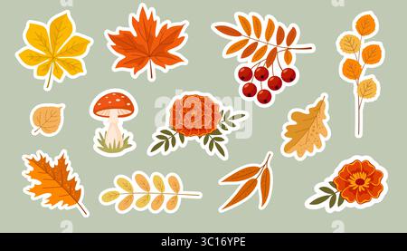 Jeu d'autocollants d'automne. Collection de feuilles d'arbres d'automne, de fleurs, de baies et de champignons. Mignons éléments de vacances d'automne. Illustration de Vecteur