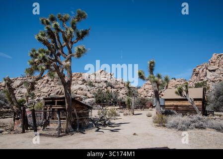 Parc national Joshua Tree paysage désertique Banque D'Images