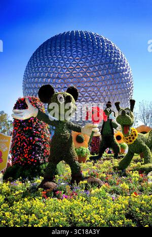 6 mars 2018 - Lake Buena Vista, FL, USA - Mickey, Dingo et Pluton sont parmi les topiaires qui accueillent les invités à l'entrée du Festival international des fleurs et jardins Epcot 2018 le samedi 3 mars 2018. Une femme du comté d'Orange poursuit Disney après qu'elle ait dit qu'elle a été écrasée par un scooter motorisé l'année dernière à Epcot et frappée au sol. (Crédit image : © Joe Burbank/Orlando Sentinel/TNS via ZUMA Wire) Banque D'Images