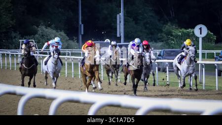 Plusieurs chevaux de course à la ligne d'arrivée Banque D'Images