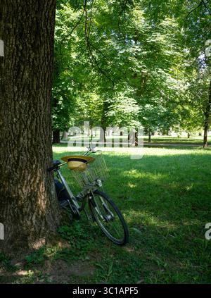 Cabane de vélo et de soleil appuyée contre un arbre dans un parc dans le centre-ville de Ljubljana, Slovénie Banque D'Images