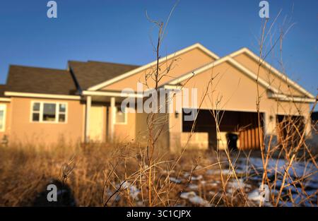 GLEN STUBBE - Otsego, Minnesota. Dimanche 13 avril 2008 -- les mauvaises herbes de l'année dernière remplissent la pelouse d'une maison inoccupée sur Martin Ave ne dans la réserve Otsego. ce quartier a beaucoup de maisons vides, inachevées et fermées. (Crédit image : Minneapolis Star Tribune/TNS via ZUMA Wire) Banque D'Images
