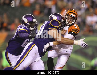 12 août 2016 - Cincinnati, OH, U.S.A - Minnesota Vikings Tackle carter Bykowski (60) a écrasé le quarterback des Cincinnati Bengals Joe Licata (8) après avoir lancé la balle dans le quatrième quart-temps vendredi soir à Cincinnati. Les Vikings du Minnesota ont remporté une victoire de 17-16 contre les Bengals de Cincinnati lors de leur premier match de pré-saison NFL vendredi soir, 12 août 2016 au Paul Brown Stadium de Cincinnati, OHIO. (Crédit image : Jeff Wheeler/Minneapolis Star Tribune/TNS via ZUMA Wire) Banque D'Images