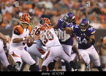 12 août 2016 - Cincinnati, OH, États-Unis - Justin Trattou (94 ans), l'équipe défensive des Vikings du Minnesota, s'est lancée sur le quaterback Keith Wenning (3 ans) des Bengals de Cincinnati avant de le limoger pour une défaite de neuf yards au deuxième quart-temps vendredi soir à Cincinnati. Les Vikings du Minnesota ont rencontré les Bengals de Cincinnati lors de leur premier match de pré-saison NFL vendredi soir, 12 août 2016 au Paul Brown Stadium de Cincinnati, OHIO. (Crédit image : Jeff Wheeler/Minneapolis Star Tribune/TNS via ZUMA Wire) Banque D'Images