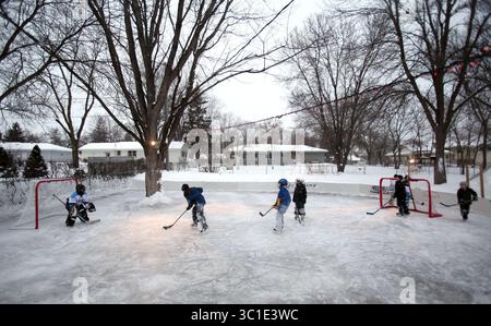 21 janvier 2011 - Bloomington, MN, U.S. - Ã¢â‚¬Â¢ 01/21/11 David Noble et sa patinoire... SUR CETTE PHOTO : les garçons Noble et leurs amis jouaient au hockey sur leur patinoire. (Crédit image : Kyndell Harkness/Minneapolis Star Tribune/TNS via ZUMA Wire) Banque D'Images
