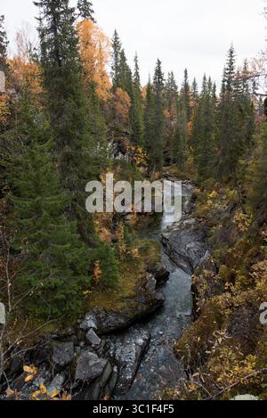 Brakkåfallet est une cataracte impressionnante juste à côté de Vildmarksvägen dans le comté de Jämtlands dans le nord de la Suède. Banque D'Images