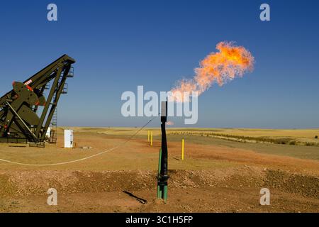 27 septembre 2011 - Minnesota, États-Unis - le gaz naturel est brûlé dans un nouveau puits de gaz et de pétrole Kodiak près de Watford City, Dakota du Nord. Jusqu'à ce que les pipelines soient terminés, le gaz doit être brûlé au lieu d'être recueilli pour la vente et la distribution. (Crédit image : Glen Stubbe/Minneapolis Star Tribune/TNS via ZUMA Wire) Banque D'Images