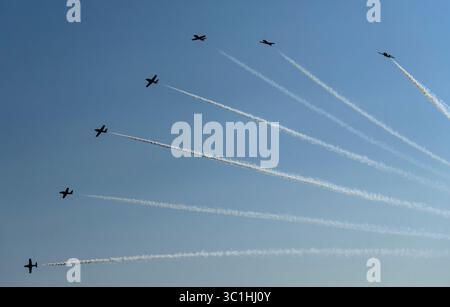 L'escadron de démonstration Snowbirds 431 de l'Aviation royale du Canada se produira à bord d'un CT-114 Tutor au-dessus de Victoria, en Colombie-Britannique, le 22 juillet 2025. Banque D'Images