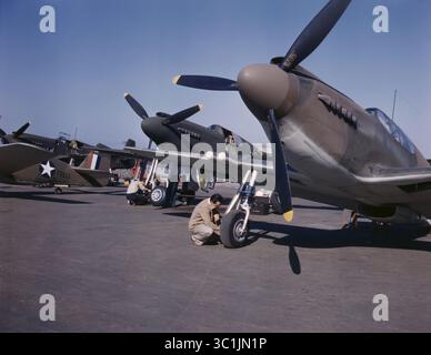 13 novembre 2018 - Inglewood, Californie, États-Unis - avions de chasse P-51 en préparation pour un vol d'essai, North American Aviation, Inc, Inglewood, Californie, États-Unis, Alfred T Palmer pour Office of War information, octobre 1942 (crédit image : © JT Vintage/Glasshouse via ZUMA Wire) Banque D'Images