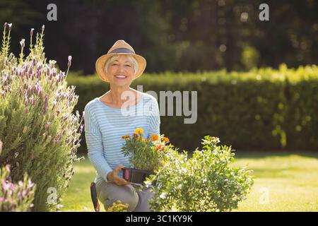 Femme âgée agenouillée dans le jardin portant un chapeau de soleil de paille tenant un plateau de soucis près du buisson de lavande Banque D'Images