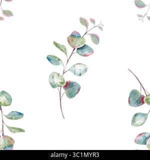 Motif d'eucalyptus sans couture, brindilles avec des feuilles, branches d'aquarelle dessinées à la main isolées sur blanc. Motif botanique pour l'emballage, l'impression Banque D'Images
