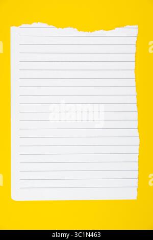 Papier ligné déchiré sur fond jaune vif pour des projets créatifs et des fins de prise de notes, avec espace de copie Banque D'Images