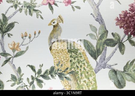Élégant papier peint motif paon aquarelle et Chinoiserie floral Banque D'Images