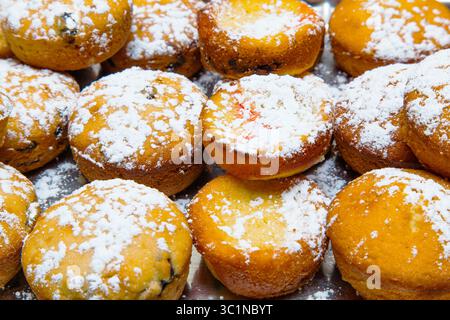 Muffins prêts au four avec des raisins secs saupoudrés de sucre en poudre sur un plateau gros plan. Banque D'Images