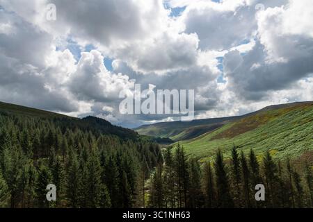 Forêt à Snake Woodlands à côté de la rivière Ashop dans les collines du parc national Peak District, Derbyshire, Angleterre. Banque D'Images
