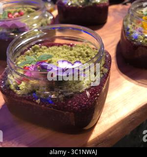 4 mars 2019 - Orlando, Floride, États-Unis - ce terrarium Chocolate Pudding au Festival des fleurs et des jardins d'Epcot attire le regard. Le plat est végétarien et sans gluten, trouvé dans la nouvelle cuisine extérieure à base de plantes Trowel & Trellis. Il a de la crème d'avocat, de la chapelure de matcha, de la grenade et des herbes pour bébés. .Photo de Sharon Kennedy Wynne (crédit image : © Sharon Kennedy Wynne/Tampa Bay Times via ZUMA Wire) Banque D'Images