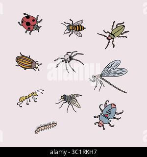 Ensemble coloré d'illustration d'insectes dessinés à la main avec dix insectes Illustration de Vecteur
