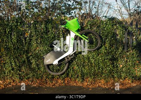 Loué Lime vélo de location e vélo / vélos électriques e mal jeté par un cycliste ou des fauteurs de troubles, sur clôture à côté du trottoir de la route à Hampton, près de Sunbury. ROYAUME-UNI (142) Banque D'Images