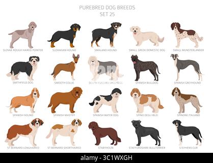 Collection de toutes les races de chiens. Collection en 28 sets. Image réaliste de races de chiens avec différentes couleurs de pelage. Illustration vectorielle Illustration de Vecteur