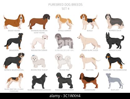 Collection de toutes les races de chiens. Collection en 28 sets. Image réaliste de races de chiens avec différentes couleurs de pelage. Illustration vectorielle Illustration de Vecteur