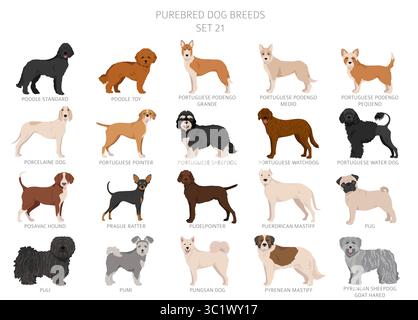 Collection de toutes les races de chiens. Collection en 28 sets. Image réaliste de races de chiens avec différentes couleurs de pelage. Illustration vectorielle Illustration de Vecteur