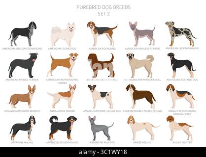 Collection de toutes les races de chiens. Collection en 28 sets. Image réaliste de races de chiens avec différentes couleurs de pelage. Illustration vectorielle Illustration de Vecteur