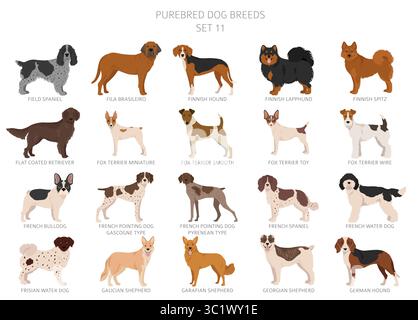 Collection de toutes les races de chiens. Collection en 28 sets. Image réaliste de races de chiens avec différentes couleurs de pelage. Illustration vectorielle Illustration de Vecteur