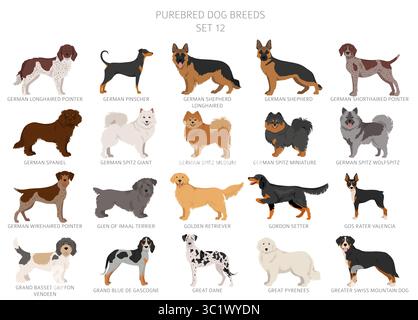 Collection de toutes les races de chiens. Collection en 28 sets. Image réaliste de races de chiens avec différentes couleurs de pelage. Illustration vectorielle Illustration de Vecteur