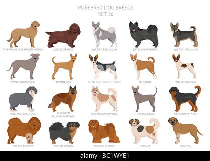 Collection de toutes les races de chiens. Collection en 28 sets. Image réaliste de races de chiens avec différentes couleurs de pelage. Illustration vectorielle Illustration de Vecteur