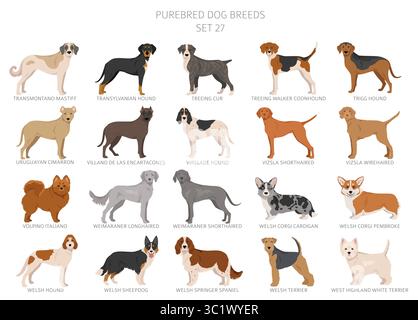Collection de toutes les races de chiens. Collection en 28 sets. Image réaliste de races de chiens avec différentes couleurs de pelage. Illustration vectorielle Illustration de Vecteur