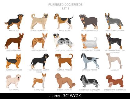 Collection de toutes les races de chiens. Collection en 28 sets. Image réaliste de races de chiens avec différentes couleurs de pelage. Illustration vectorielle Illustration de Vecteur
